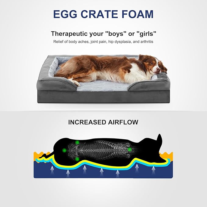 FURTIME Orthopedic Dog Beds for Small Dogs - Waterproof Small Dog Bed, Ultra Comfy Supportive Foam Pet Couch with Removable Washable Cover, Egg Foam Dog & Cat Beds with Nonskid Bottom