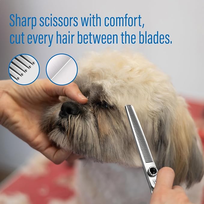 Dog Grooming Scissors: 6.5 inch Pet Blender Shears Made Of Japanese 9CR Advanced Stainless Steel Professional Grooming Scissors for Dogs Cats and Other Pets