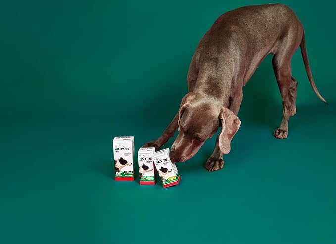 4CYTE Epiitalis® Forte Dog Gel (100ml/3.38 fl oz)