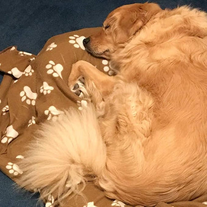 Comsmart Dog Blankets for Small Dogs, 6 Pack Puppy Blanket Cute Paw Print Pet Blanket for Dog, Puppy, Cat, Kitten, 39x35 inches