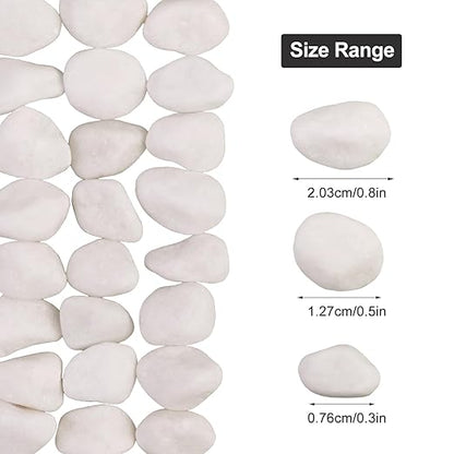 10Ib Snow White River Rock- Decorative Pebbles for Plants - River Rocks for Outdoor Landscaping- 0.3"-0.8" inch Polished Stones for Stones for Aquarium, Home Decor,Garden Decor