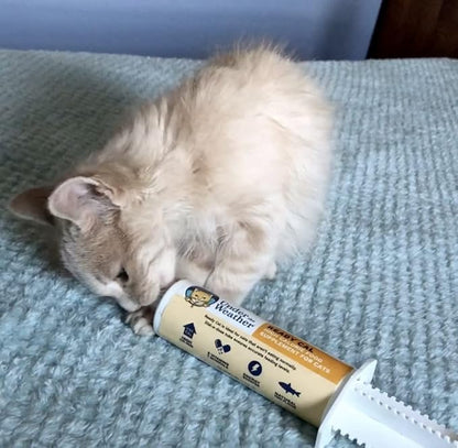 Under the Weather Pet | Ready Cal for Kitten | High Calorie Pet Nutritional Supplement for Weight Gain & Healthy Weight Maintenance | 10 Vitamins, 7 Minerals, Omega Fatty Acids & Carbohydrates | 80cc