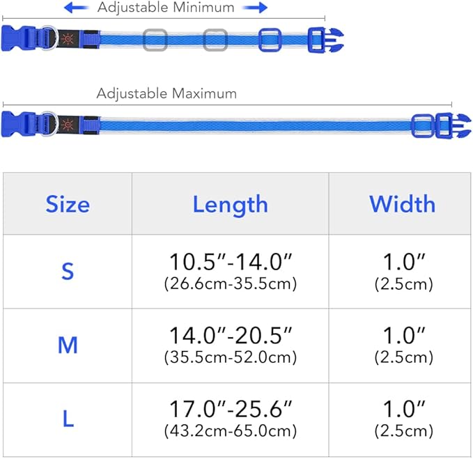 BSEEN Light Up Dog Collars - Reflective LED Dog Collar, Rechargeable Puppy Collar for Small Dogs, Glow in The Dark Dog Camping Gear, Flashing Dog Lights for Night Walking (Small, Blue)