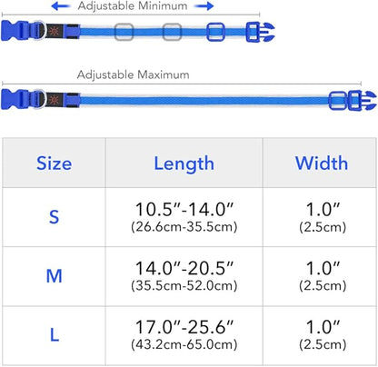 BSEEN Light Up Dog Collars - Reflective LED Dog Collar, Rechargeable Puppy Collar for Small Dogs, Glow in The Dark Dog Camping Gear, Flashing Dog Lights for Night Walking (Small, Blue)