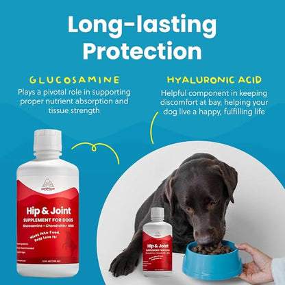 Paramount Pet Health Liquid Glucosamine for Dogs, 1600mg Glucosamine Chondroitin MSM, Hip & Joint Supplement for Large Dogs, Liquid Arthritis Relief & Mobility Support, 32 oz