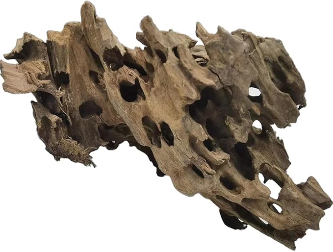 PINVNBY Natural Large Driftwood for Aquarium Reptile Terrarium Decor Decorations Assorted Branches Bearded Dragon Tank Accessories (11.5-16 inches/1 Pack)