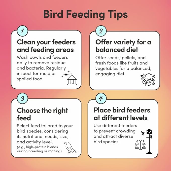 Mycelium Lovebird Plus Bird Food (5 LB Bag) | Organic, Non-GMO Bird Seed for Lovebirds & Small Parrots | Filler-Free & Nutrient-Rich | High Energy, Immune Support, Vitamin-Enriched | USA Made