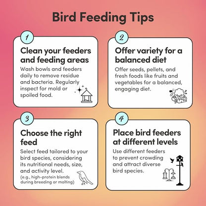 Mycelium Lovebird Plus Bird Food (5 LB Bag) | Organic, Non-GMO Bird Seed for Lovebirds & Small Parrots | Filler-Free & Nutrient-Rich | High Energy, Immune Support, Vitamin-Enriched | USA Made