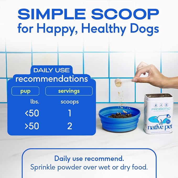 Native Pet Probiotics for Dogs - Dog Probiotics Powder for Digestive Health, Gut Support, & Immune Boost  Vet-Formulated Powder for Maximum Potency with Digestive Enzymes & Prebiotics - 120 Scoops