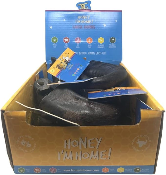 Honey I'm Home, Large Buffalo Horn Hard Dog Chew, 10 Piece Bulk Box - All Natural, Free Range, Healthy, Grain Free & Honey Coated