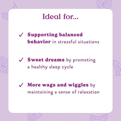 Bocce's Bakery Calming Supplement for Dogs, Daily Chews Made in The USA with Chamomile, Lemon Balm, L-Theanine & Melatonin, Supports Stress, Banana & Honey, 60 ct