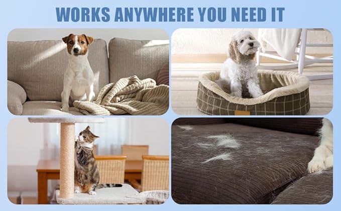 Ultimate Pet Hair Removal Kit | Car Pet Hair Removal | 18 Pet Hair Attracting Washer/Dryer Balls | Reusable Static Hair Brush | Dog Brush/Edge Cleaner | Safe and Gentle | GROOVY PAWZ