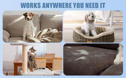 Ultimate Pet Hair Removal Kit | Car Pet Hair Removal | 18 Pet Hair Attracting Washer/Dryer Balls | Reusable Static Hair Brush | Dog Brush/Edge Cleaner | Safe and Gentle | GROOVY PAWZ