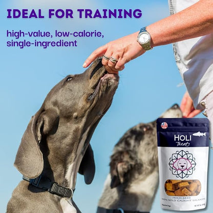 HOLI Freeze Dried Salmon Dog Treats - with Omega 3 and 6 Fish Oil - All Natural Dog Treats - Human Grade - Wild Caught Skin on Salmon - Made in USA - Grain Free - Diabetic Friendly
