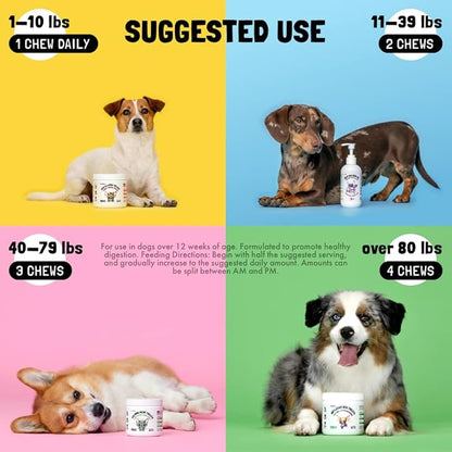 Probiotics for Dogs Natural Digestive Enzymes Prebiotics for Allergy Itch Relief Gut Flora Coprophagia Bowel Support Treatment Anti Diarrhea for Dogs Pet Health Immune System Support 30 Soft Chews