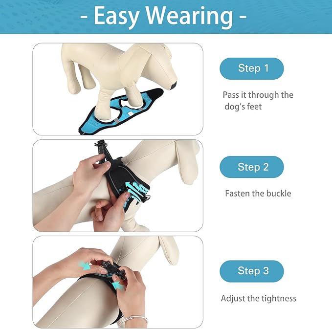 Dog Harness (XS, Blue) for Small Dogs, Lightweight Harness & Leash Set, Adjustable, Reflective, Breathable, 360°Visibility, Playful Style