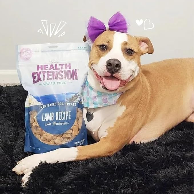 Health Extension Oven-Baked Dog Treats, 6oz (170g), Lamb & Blueberry Recipe – Gluten & Grain-Free, Superfood-Infused, Crunchy Biscuits for Puppy Training (Pack of 2)
