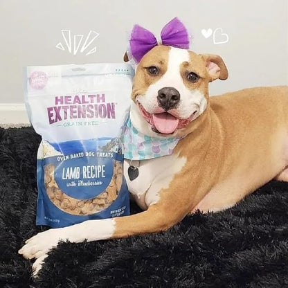 Health Extension Oven-Baked Dog Treats, 6oz (170g), Lamb & Blueberry Recipe – Gluten & Grain-Free, Superfood-Infused, Crunchy Biscuits for Puppy Training (Pack of 2)