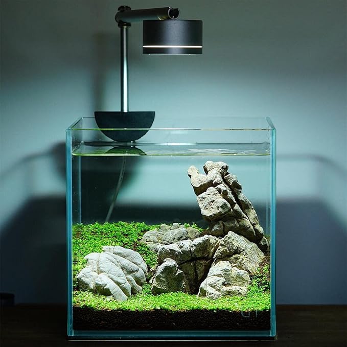 SubstrateSource Natural Stone for Aquarium, Terrarium, Paludarium, Reptile Enclosures - Set of Decorative Rocks for Landcapes, Aquascaping, Fish Tank Decor (Elephant Skin Stone, 5 Pounds, 2-5)