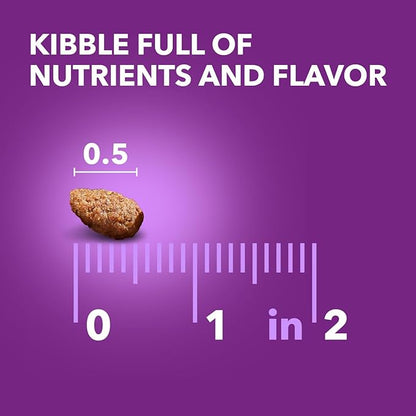 IAMS Advanced Health Healthy Digestion Adult Dry Dog Food with Real Chicken, 6 lb. Bag