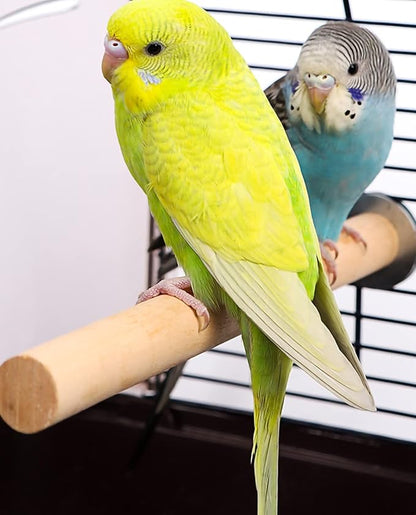 6 PCS Natural Wood Bird Perch Parrot Stand Fork Toys, Hanging Multi-Branch Perch Bird Cage Accessories for Small Parakeets, Conures, Cockatiels, Budgies, Finches, 3 Types