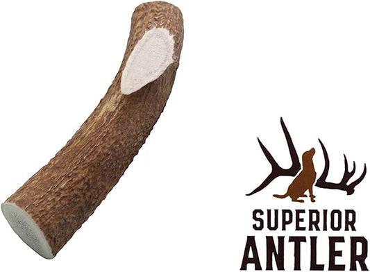 1-X Large Antler, Whole. All Natural Premium Grade A. Antler Chew. Naturally Shed, Made in The USA. Guaranteed Satisfaction