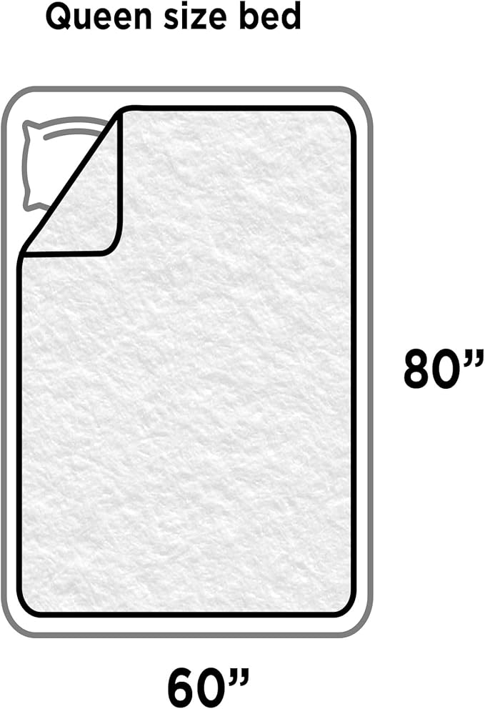 Best Friends by Sheri Calming Shag Dog Blanket with Non-Skid, Water Resistant Base, Frost Gray, 60" x 80"