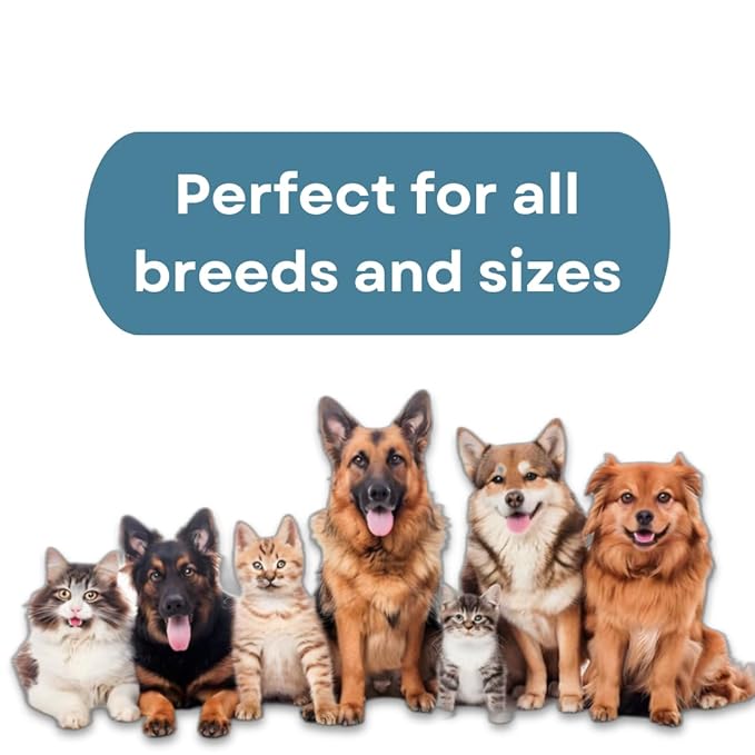 Pet Slicker Brush (Medium Size, Black) for Grooming Pet Hair with Fluff Detangle Style  Dog Brush for Long & Short Haired Dogs for Goldendoodles  Curved Pin for  Removes Tangles & Loose Fur