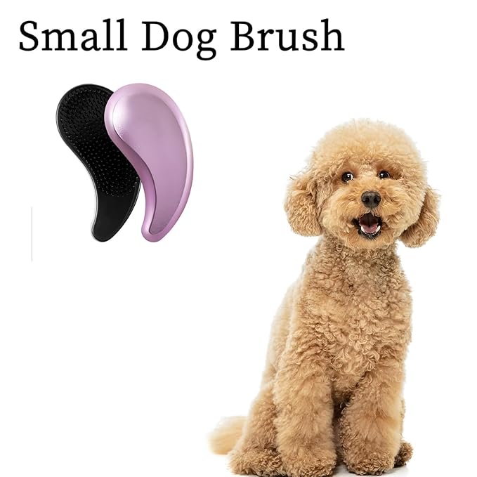 Small Dog Brush- Grooming Tool for Teddy, Yorkies, Maltese, Shih Tzu, Chihuahua - Puppy Hair Brush (Electroplating Purple)