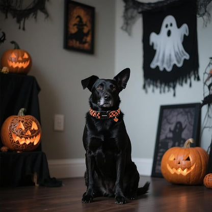 DOGWONG Fall Dog Collar, Orange Checkered Dog Collar Adjustable Soft Cute Pet Dog Collars Cute Plaid Puppy Necklace for Small Medium Large Dogs