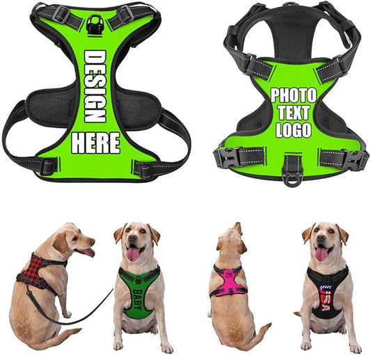 Custom Breathable Pet Chest Harness with Optional Leash, Customize No-Pull Dog Harnesses with Your Personalized Design, Personalize Pet Towing Vest with Mesh Fabric, LawnGreen, M