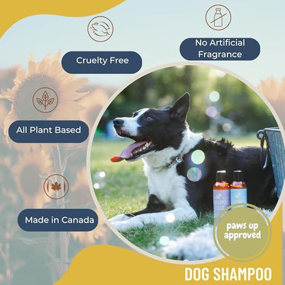 Pine&Fir Deodorizing Dog Shampoo - for Oily or Dry Dog Skin-Natural Ingredients with Organic Essential Oils- Made in Canada