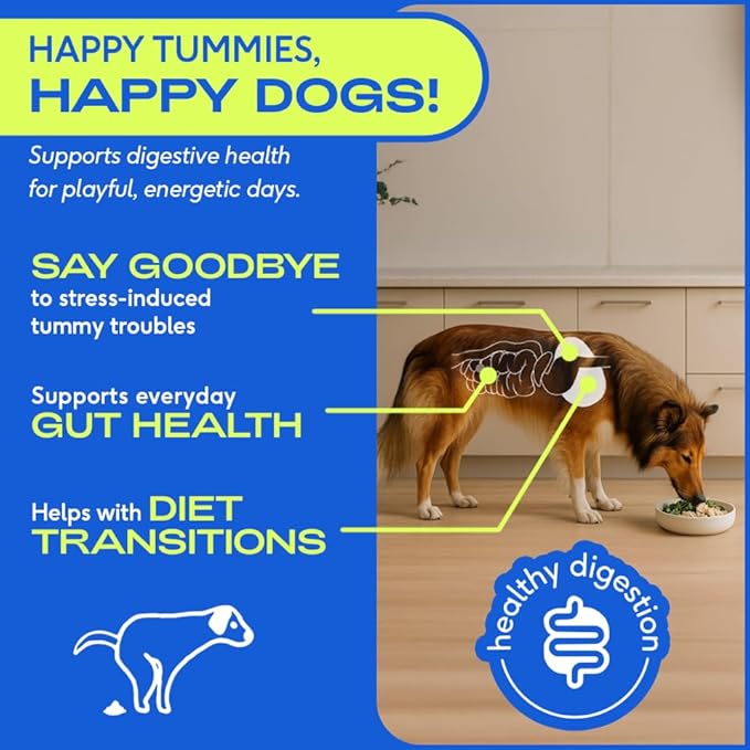 Native Pet Probiotics for Dogs - Dog Probiotics Powder for Digestive Health, Gut Support, & Immune Boost  Vet-Formulated Powder for Maximum Potency with Digestive Enzymes & Prebiotics - 60 Scoops