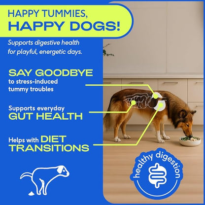 Native Pet Probiotics for Dogs - Dog Probiotics Powder for Digestive Health, Gut Support, & Immune Boost  Vet-Formulated Powder for Maximum Potency with Digestive Enzymes & Prebiotics - 60 Scoops