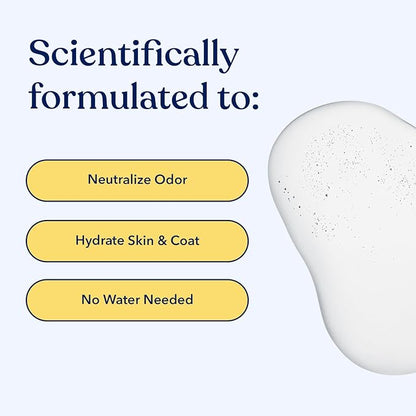 Honest Paws Dog Dry Shampoo - Waterless No Rinse Spray Formula Reducing Itch Cleanse Hydrate Nourish Dry Skin and Smelly Coat Help Decrease Odor Shedding and Allergies - Mandarin & Berry - 8 oz