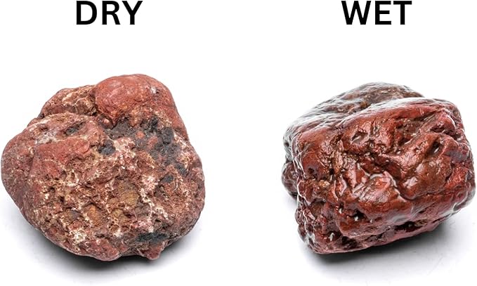 SubstrateSource Natural Stone for Aquarium, Terrarium, Paludarium, Reptile Enclosures - Set of Decorative Rocks for Landcapes, Aquascaping, Fish Tank Decor (Blood Stone, 10 Pounds)