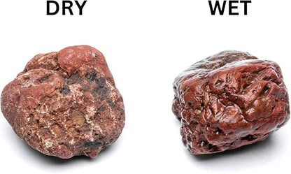 SubstrateSource Natural Stone for Aquarium, Terrarium, Paludarium, Reptile Enclosures - Set of Decorative Rocks for Landcapes, Aquascaping, Fish Tank Decor (Blood Stone, 10 Pounds)