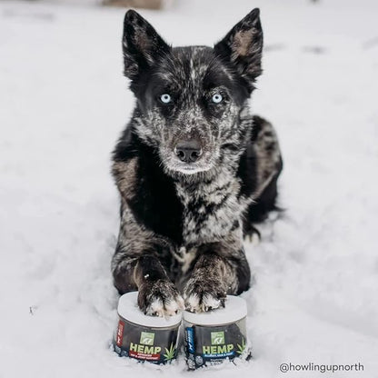 Only Natural Pet Allergy, Skin & Coat Hemp Soft Chews - Allergy Immune Bites for Dogs, Omega 3 Supplement, Hemp Oil - Calming Treats for Itchy Skin Relief, Hot Spot - (120 Count) (Al.)