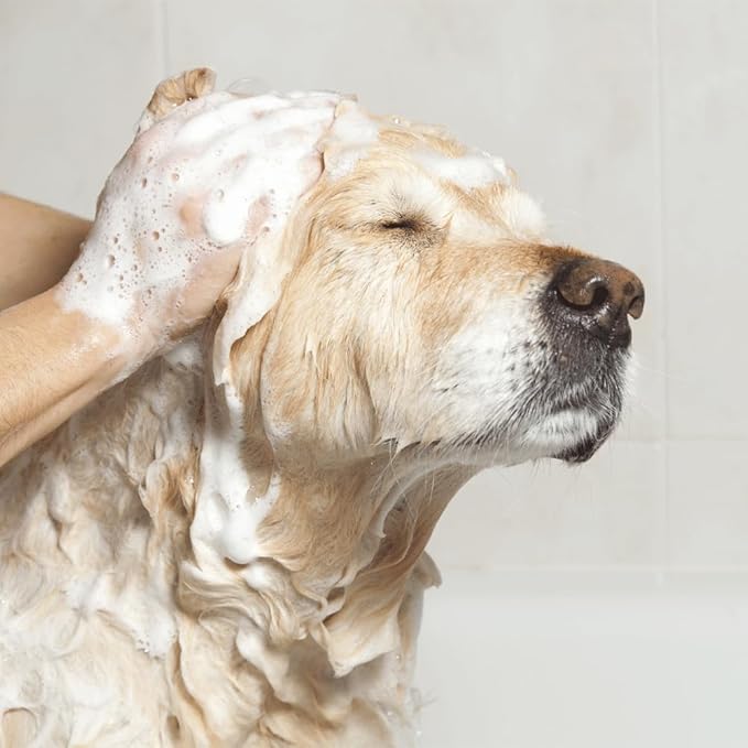 EfaLyt Hypoallergenic Shampoo for Pets - Blend of Proteins, Essential Fatty Acids - Control Flaking and Scaling - Optimal pH Balance - Natural Moisturizer - 12 fl oz