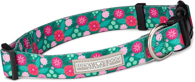 Lucky Love Dog Collars, Stripes Pattern Dog Collar for Medium Dogs, Comfortable & Soft Cute Girl or Boy Dog Collar, Penny, Medium
