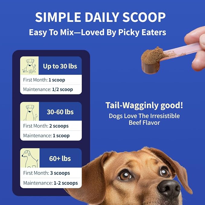 Dog Joint Supplement Powder with Glucosamine, Chondroitin & MSM  Hip & Joint Support for Mobility, Stiffness & Flexibility  Mushroom Blend with Lion_ Mane, Cordyceps & Reishi  Zoomy