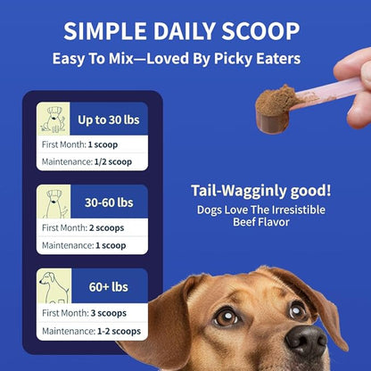 Dog Joint Supplement Powder with Glucosamine, Chondroitin & MSM  Hip & Joint Support for Mobility, Stiffness & Flexibility  Mushroom Blend with Lion_ Mane, Cordyceps & Reishi  Zoomy