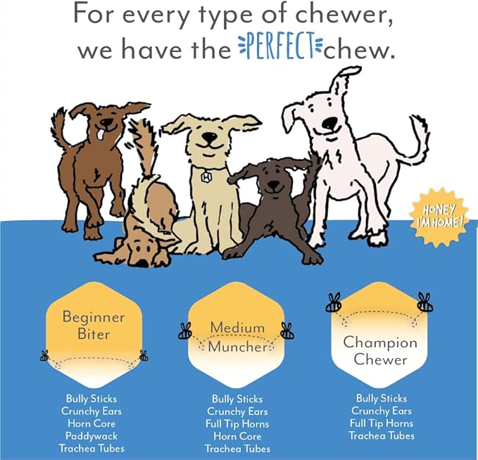 Honey I'm Home, Large Buffalo Horn Hard Dog Chew, 10 Piece Bulk Box - All Natural, Free Range, Healthy, Grain Free & Honey Coated