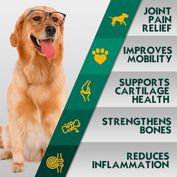 Advanced Hip & Joint Supplement for Dogs with Glucosamine and Chondroitin, for Dogs Glucosamine, Organic Turmeric, Egg Shell Membrane, Green Lipped Mussel, 90-Count, Chicken