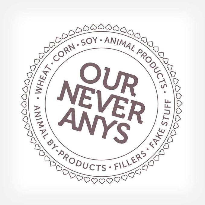 V-Dog Vegan Wiggle Biscuit Organic Dog Treats, Peanut Butter, 10 Ounce, Superfoods