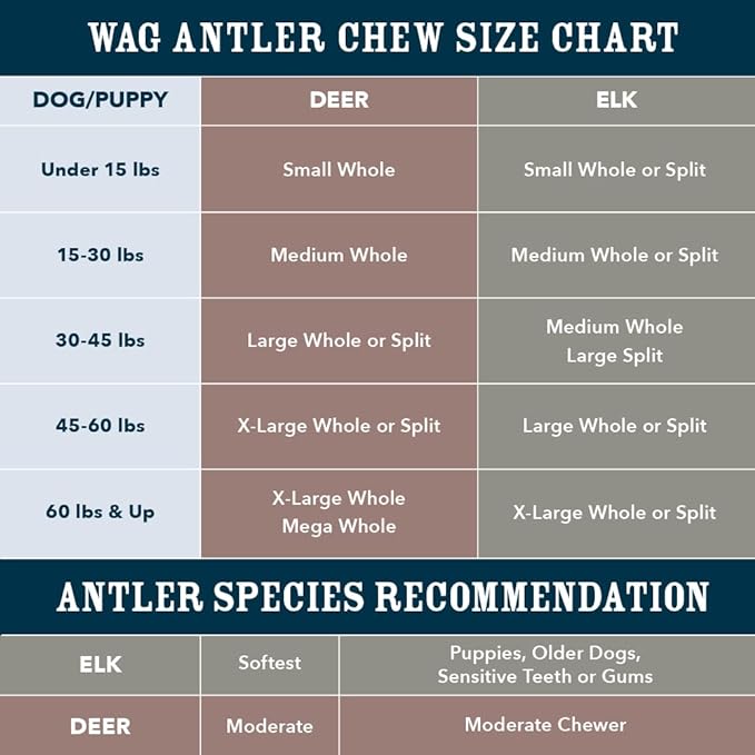 Amazon Brand  Wag Dog Deer Antler Chew, Naturally Shed. Whole, Small (Best for Dogs under 15 lbs) 45.5 inches