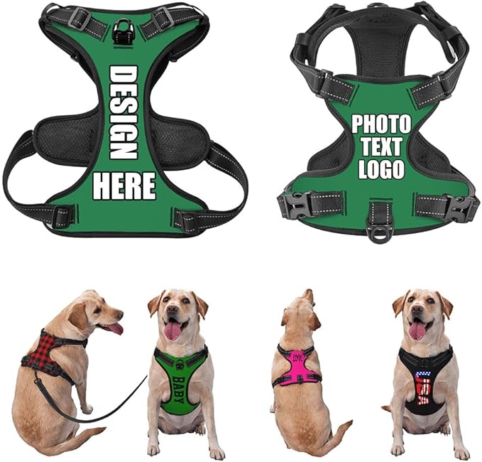 Personalized Dog Vests Customization for Puppy Medium Large Sized Dogs, Customize No Pull Dog Harnesses with Easy and Adjustable Wearing Buckles, Seagreen, S