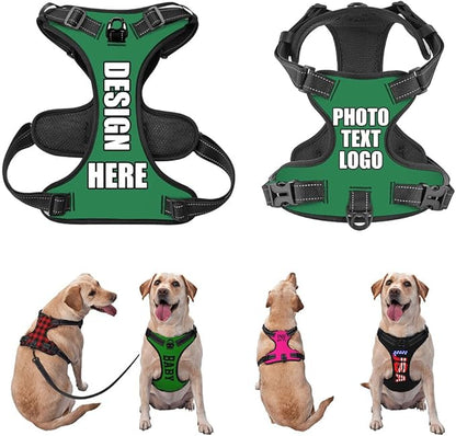 Personalized Dog Vests Customization for Puppy Medium Large Sized Dogs, Customize No Pull Dog Harnesses with Easy and Adjustable Wearing Buckles, Seagreen, S