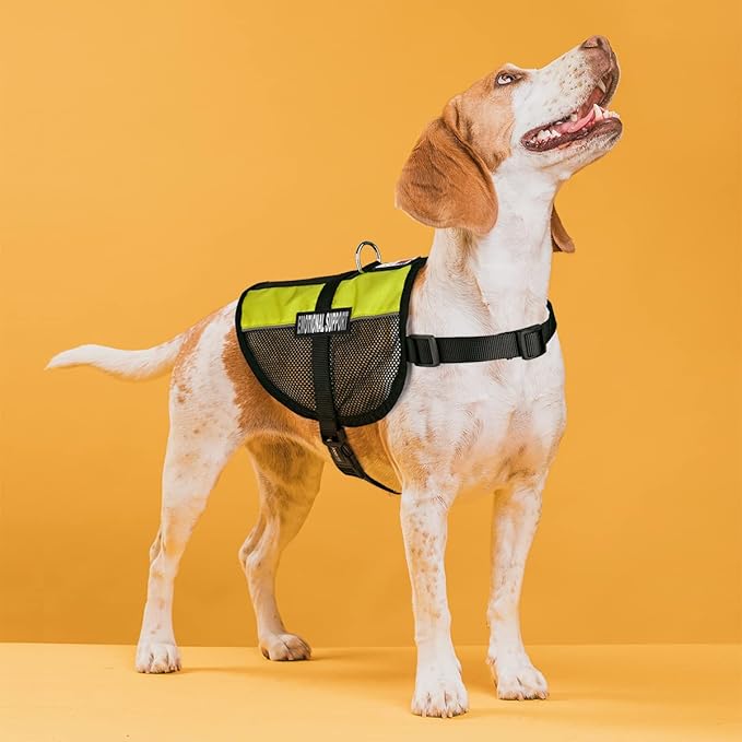 Dogline MaxAire Multi-Purpose Mesh Vest for Dogs and 2 Removable Emotional Support Patches, Small, Green