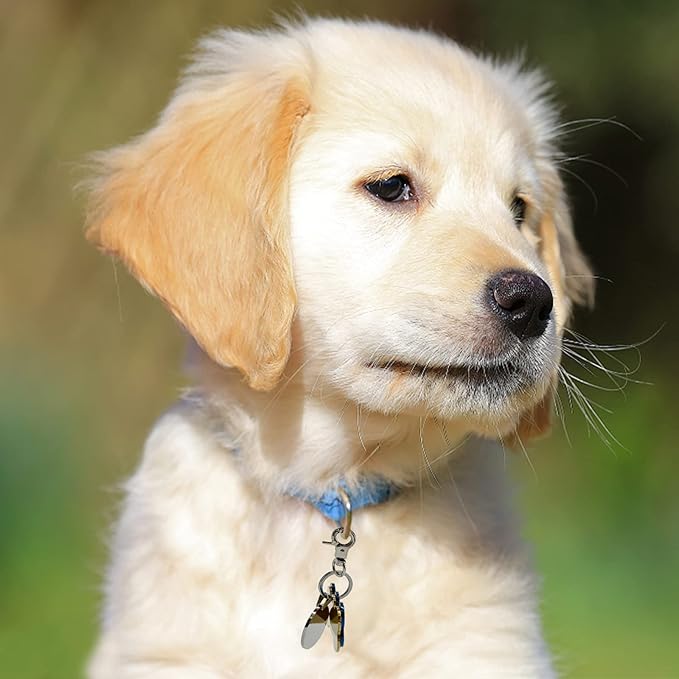 Dog Tag Clips 2 Pack Easy Change for Pet ID Tag Quick Clips Small Medium Large Dogs and Cats Collars|Silver|